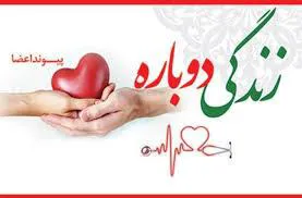 اهدای عضو